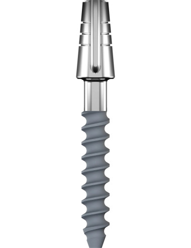 Імплантат PROVO T 2.5 12