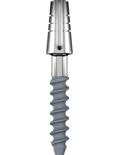 Імплантат PROVO T 2.5 10